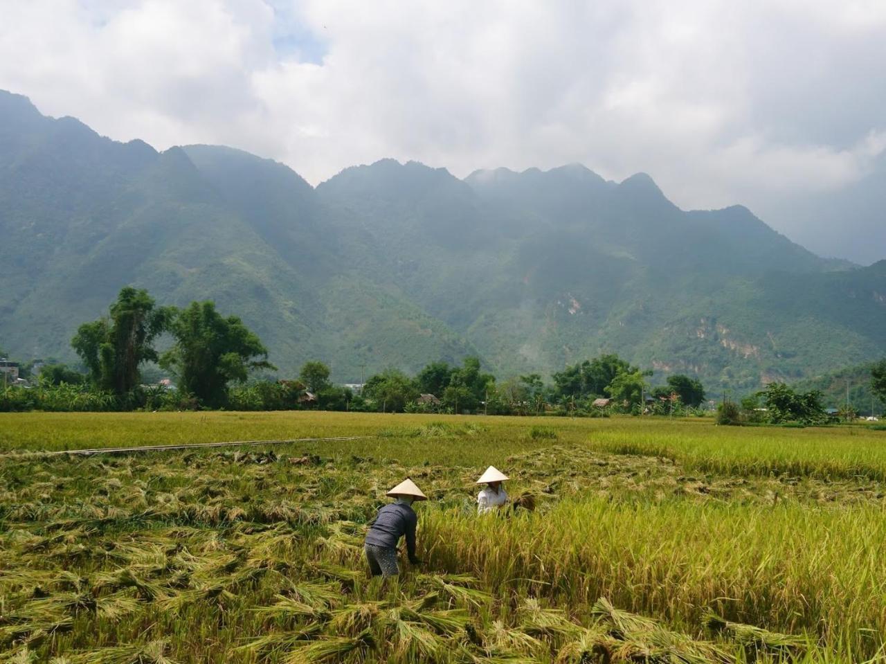 Mai Chau Countryside Homestay מראה חיצוני תמונה